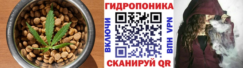 Купить где  Усть-Джегута  Canna-Cookies конопля 